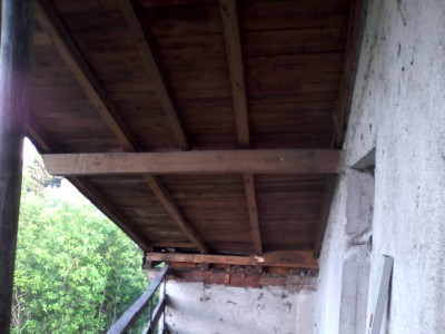 IMG_20120513_073346.jpg