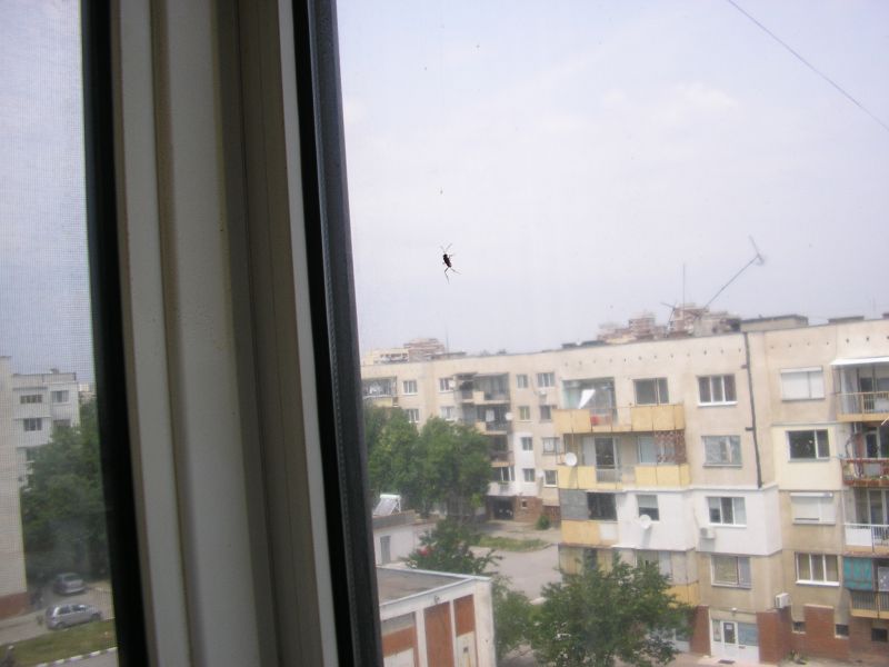P5130003.JPG