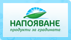 logo.png