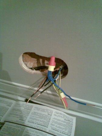 39.jpg