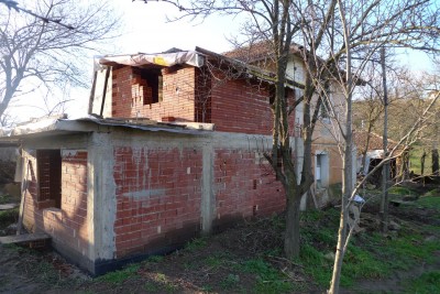 P1010682_1.JPG