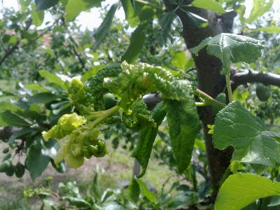 Pic 304.jpg