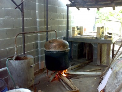 260520121735.jpg
