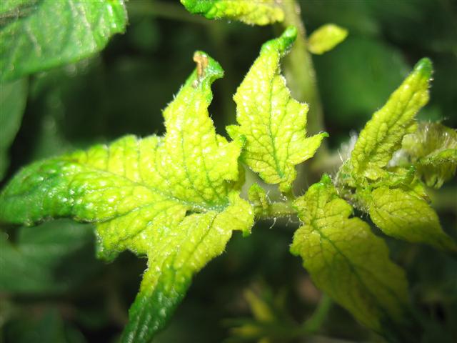 IMG_8063 (Small).JPG