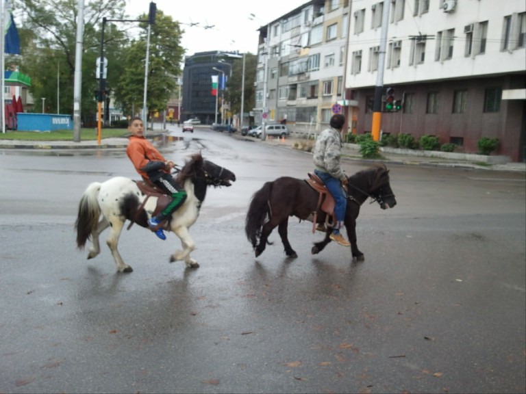 Снимки0019E001.jpg