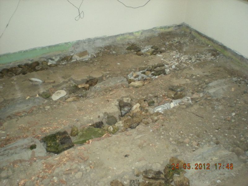 Picture 878.jpg