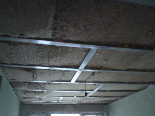 DSC00321.JPG