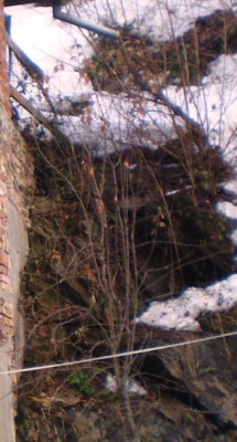 P3060071.JPG