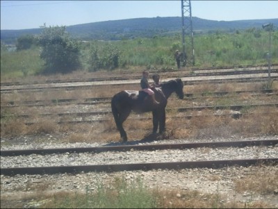Снимки0768E001E001.jpg