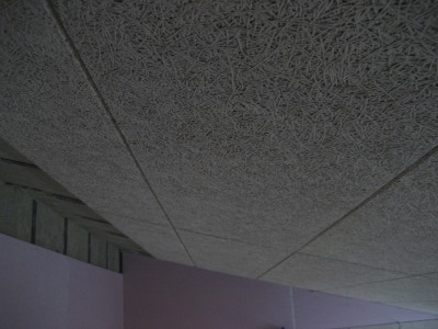 Picture 019.jpg
