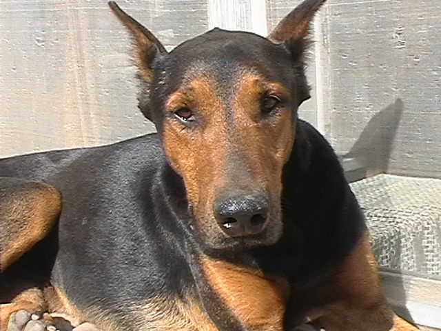 IMGA0176.JPG