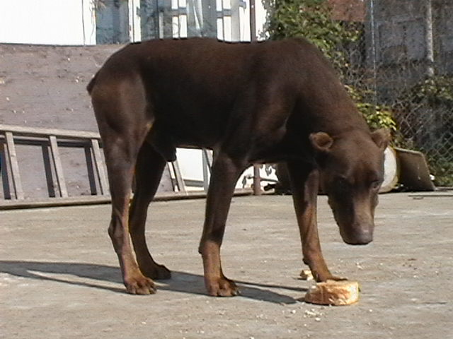 Copy of IMGA0182.JPG