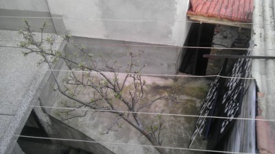 IMAG0051.jpg