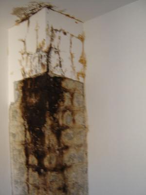 Chimney-2.jpg