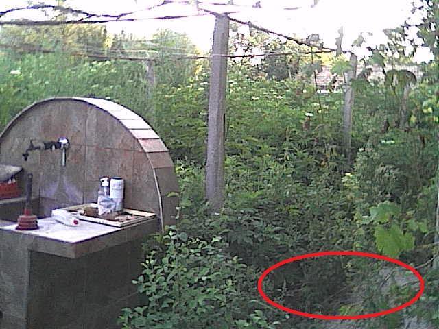 Cam000164.jpg