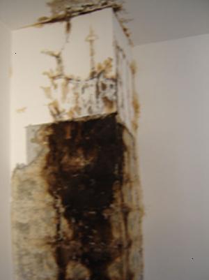 Chimney-1.jpg