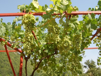 STA60018.JPG