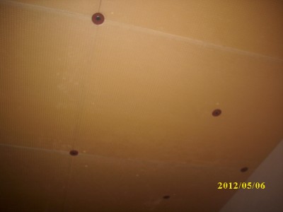DSCI0005.JPG