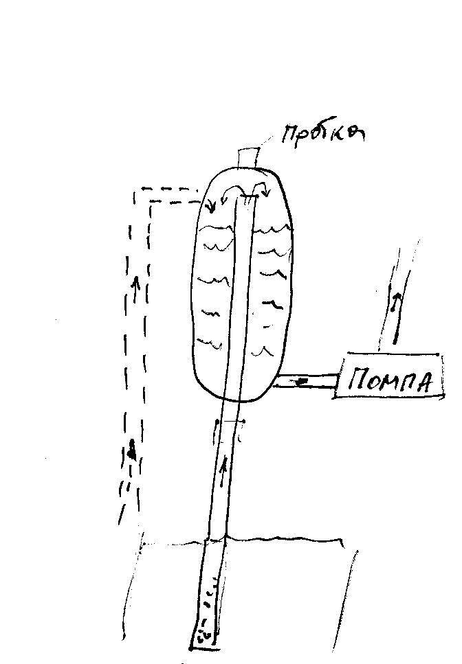Picture1.jpg