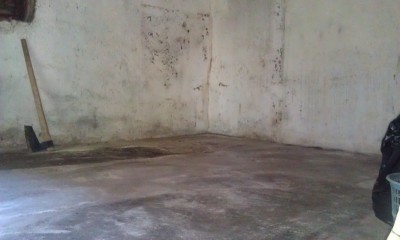 IMAG0196.jpg