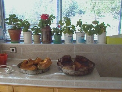 CAM_0265.JPG