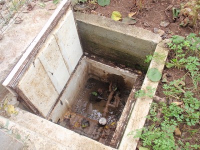 PA132186.jpg