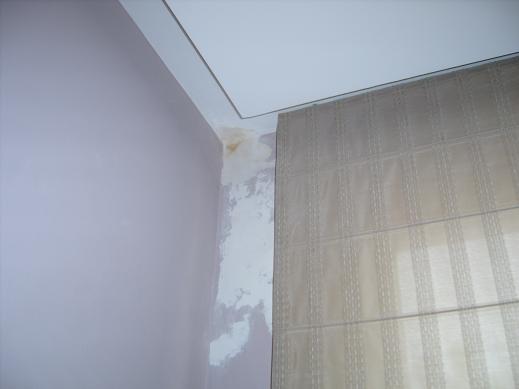 wet corner.JPG
