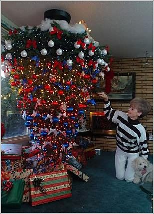 fur_tree_over_02.jpg