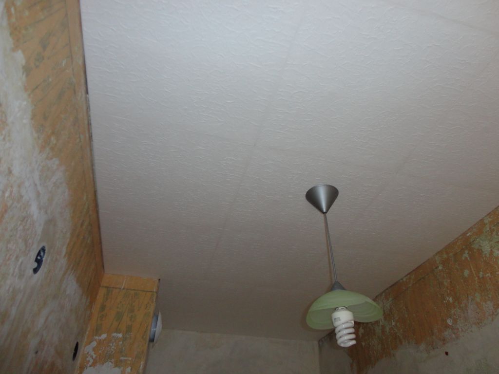 DSC01567111111111111111.jpg