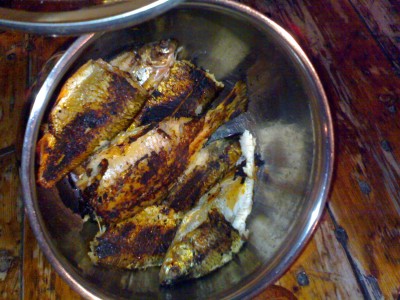 25082012623.jpg