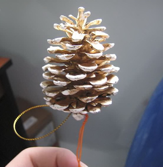 fur_tree_over_14.jpg