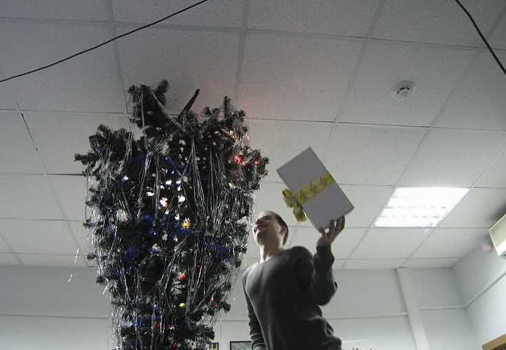 fur_tree_over_36.jpg