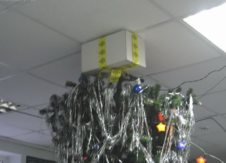 fur_tree_over_37.jpg