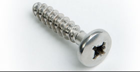 dd_rt_strapscrew.jpg