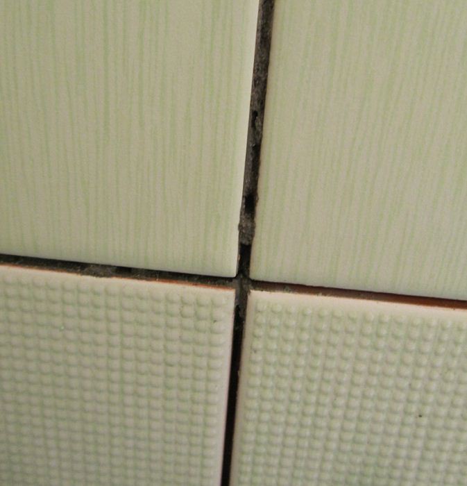 fuga2.JPG