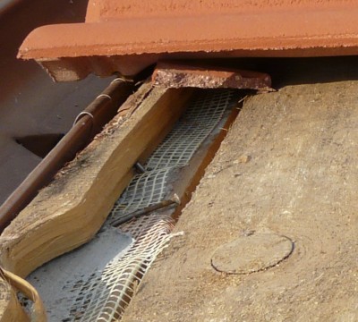 P1420974-4.JPG