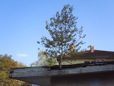 S4033061.JPG