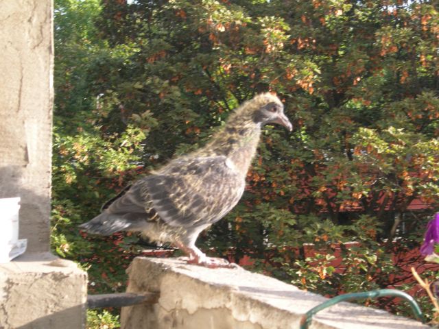 DSCN4613.jpg