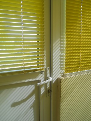 DSCN3703.JPG