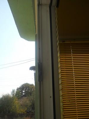 DSCN3708.JPG