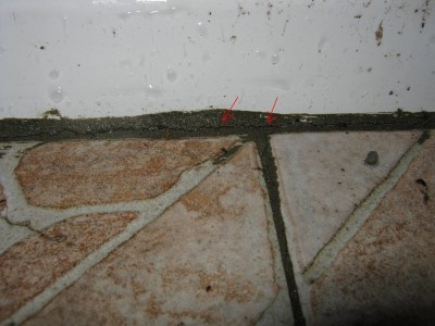 IMG_0003.1.JPG