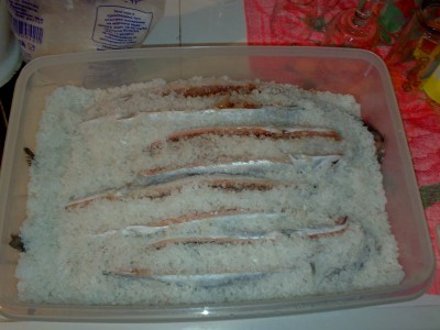 201020121936.jpg
