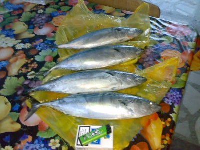 201020121933.jpg