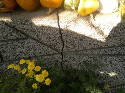 2012-10-25-723.jpg
