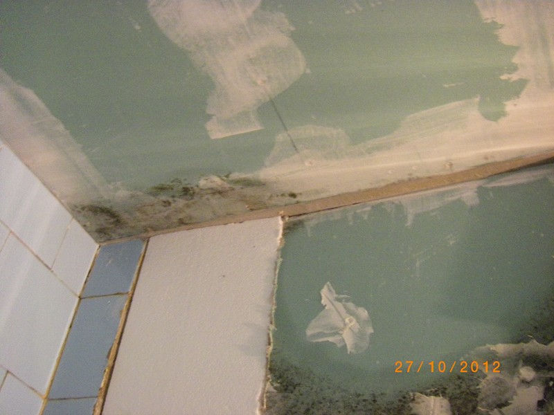 IMGP3652 (Copy).JPG