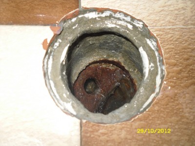 SDC17760.JPG