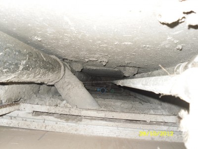 SDC17763.JPG