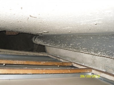 SDC17768.JPG