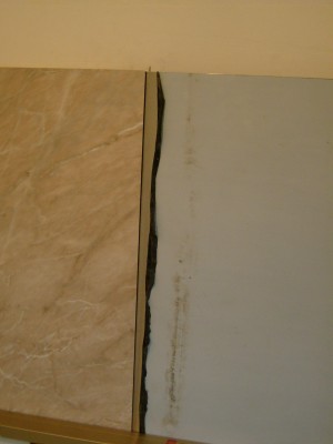 S6300259_1.JPG