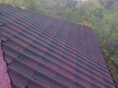 06112012925.jpg